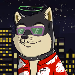 DogeX#2062