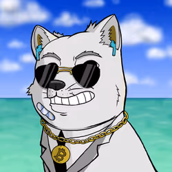DogeX#2036