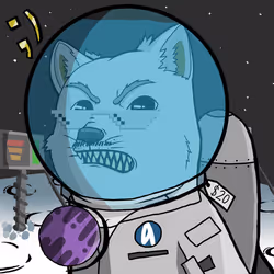 DogeX#8504