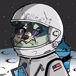 DogeX#6153