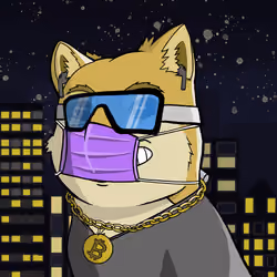 DogeX#3399