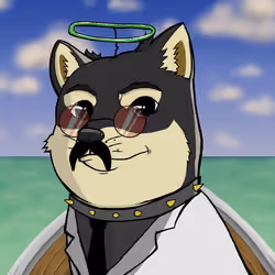DogeX#1017