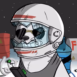 DogeX#8518