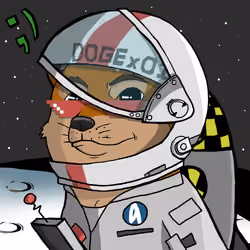 DogeX#5355