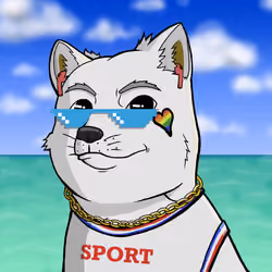 DogeX#2166