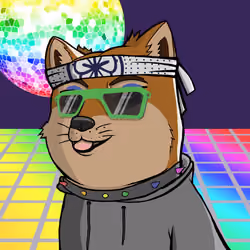 DogeX#3645