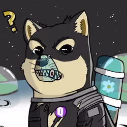 DogeX#1919