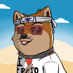 DogeX#8255