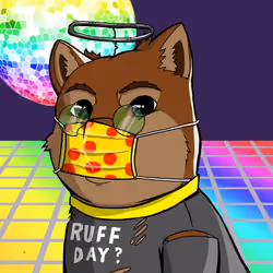 DogeX#936