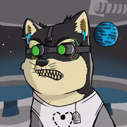 DogeX#7915