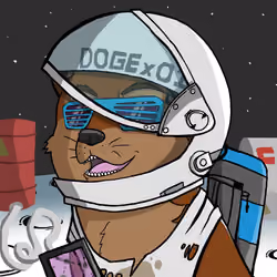 DogeX#1805