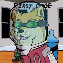DogeX#5365