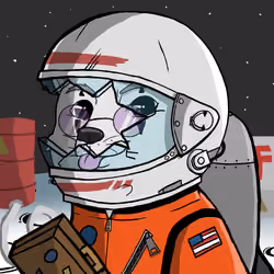 DogeX#4175