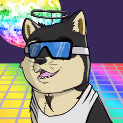 DogeX#5114