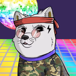 DogeX#1015