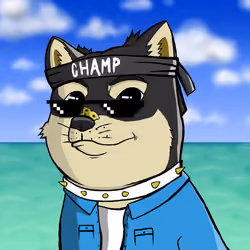 DogeX#4594