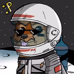 DogeX#6151