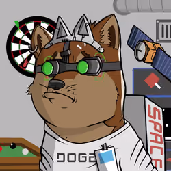 DogeX#3866