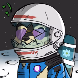 DogeX#807