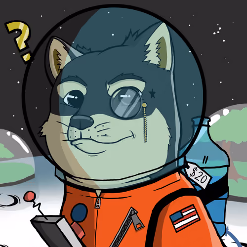 DogeX#8868