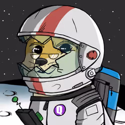 DogeX#8563