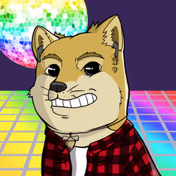 DogeX#4597