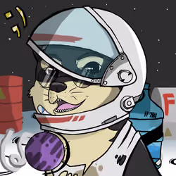 DogeX#6667