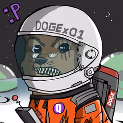 DogeX#9054