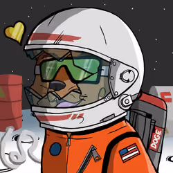 DogeX#5321