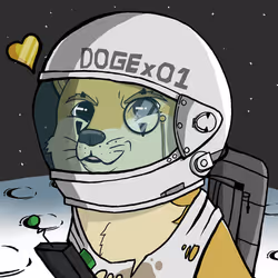 5547