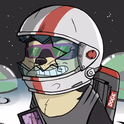 DogeX#7208