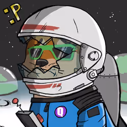 DogeX#9615