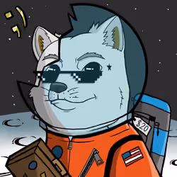 DogeX#1099