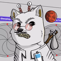 DogeX#4393
