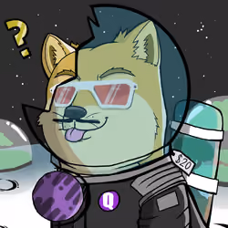DogeX#9635