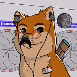 DogeX#1304
