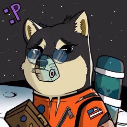DogeX#6885