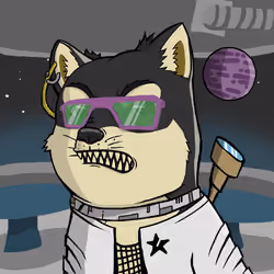 DogeX#8906