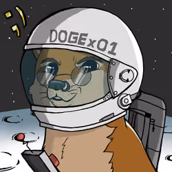 DogeX#3851
