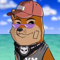 DogeX#8812