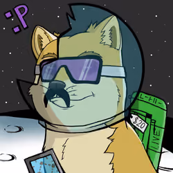 DogeX#8567