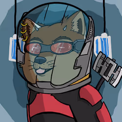 DogeX#4769