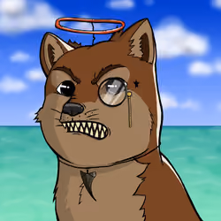 DogeX#1567