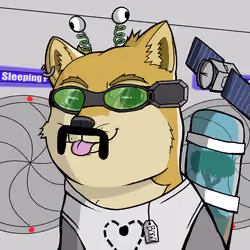 DogeX#1573