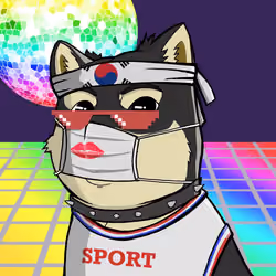 DogeX#9718
