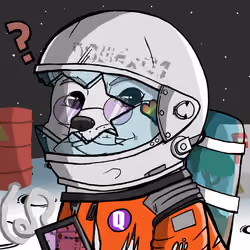 DogeX#4692