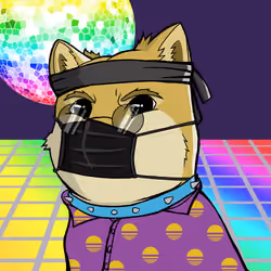 DogeX#1994