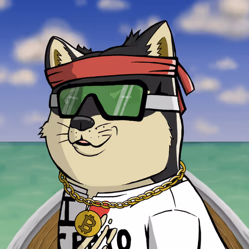 Officialdogex