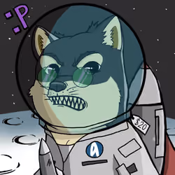 DogeX#2094