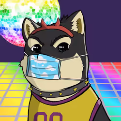 DogeX#8077